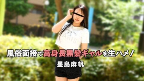 HEYZO-3757 Raw sex with a tall, black-haired gal at an adult entert…
