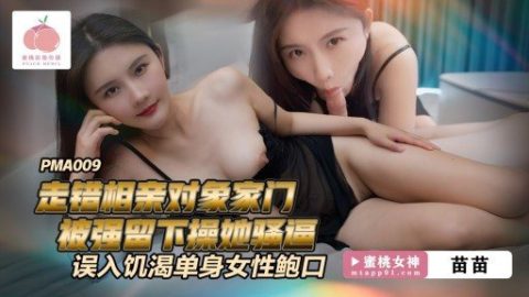 PMA-009 – JAV video poster