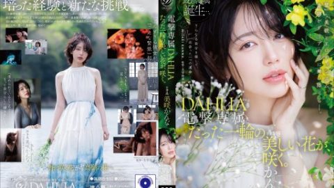 DLDSS-532 – Misaki Kanna – JAV video poster
