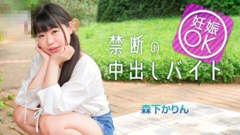 CARIBBEANCOM-042225 – Karin Morishita – JAV video poster