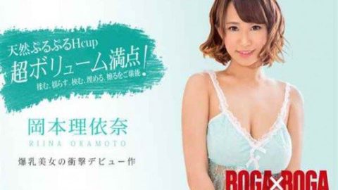 CARIBBEANCOM-011119 – Okamoto Rina – JAV video poster