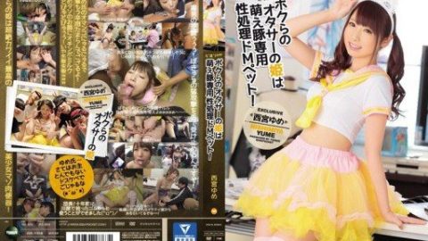 IPZ-969 – Nishimiya Yume – JAV video poster