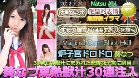 N07-65 – Natsu Aoi – JAV video poster