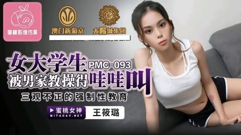 PMC-093 – 王筱璐 – JAV video poster